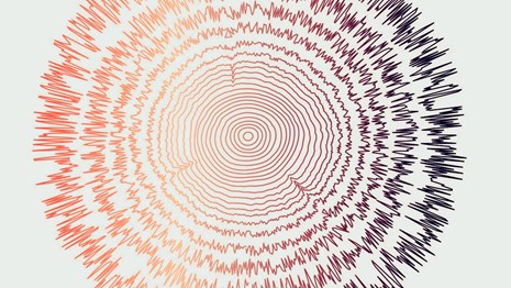 Illustration shows concentric tree rings with the outer layers turning into sound frequencies