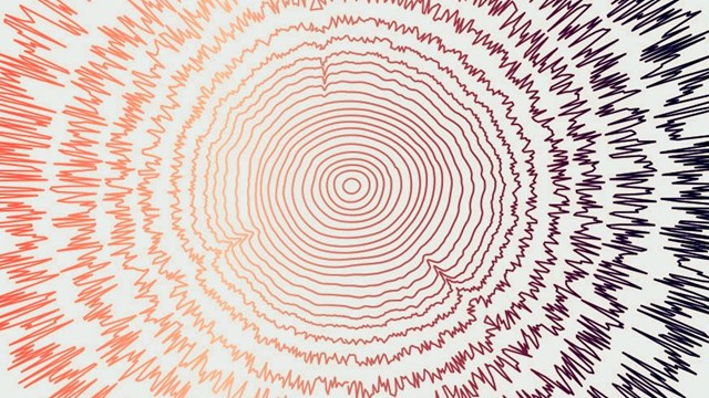 Illustration shows concentric tree rings with the outer layers turning into sound frequencies