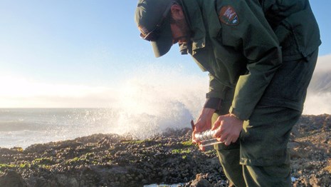 Marine ecologist counting intertidal organisms as waves crash nearby.