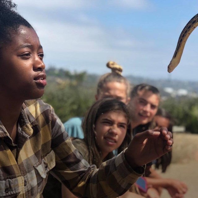 Young student participant engages with a snake ambassador.