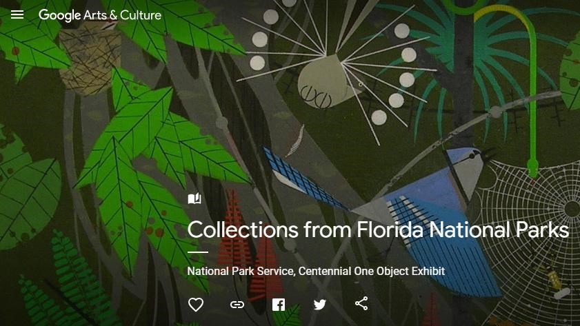 Web page Everglades painting for Google Arts and Culture exhibit from Florida National Pakrs