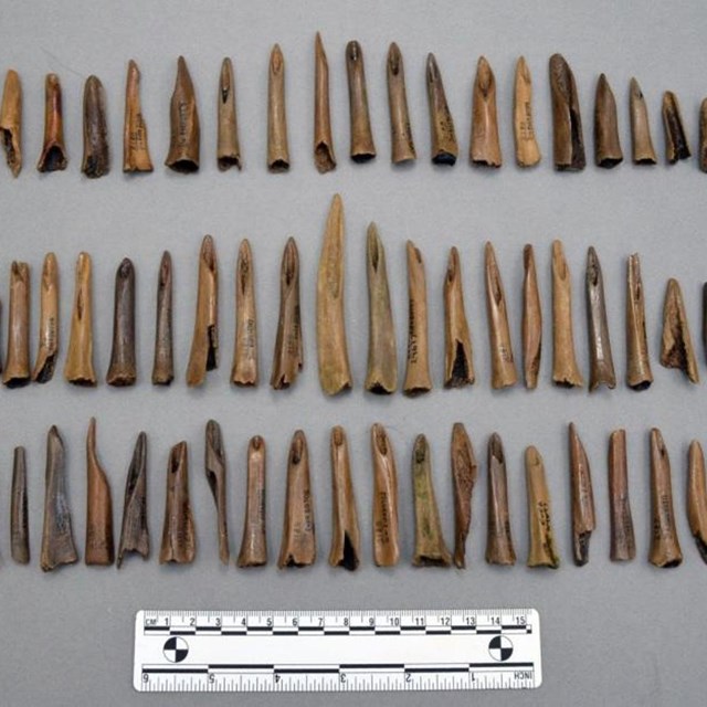 Collection of socketed bone and antler points