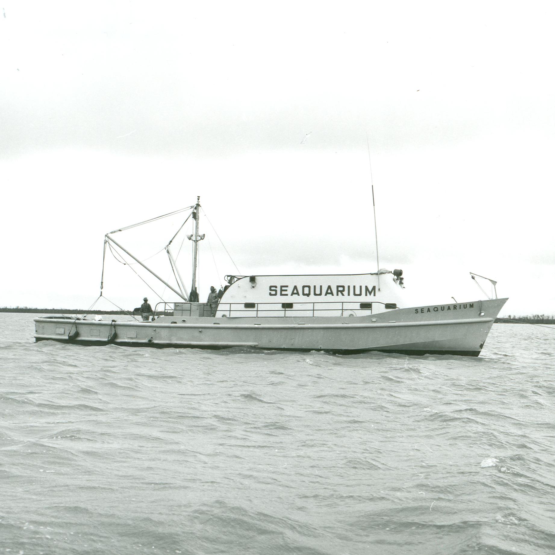 Fishing boat in the ocean