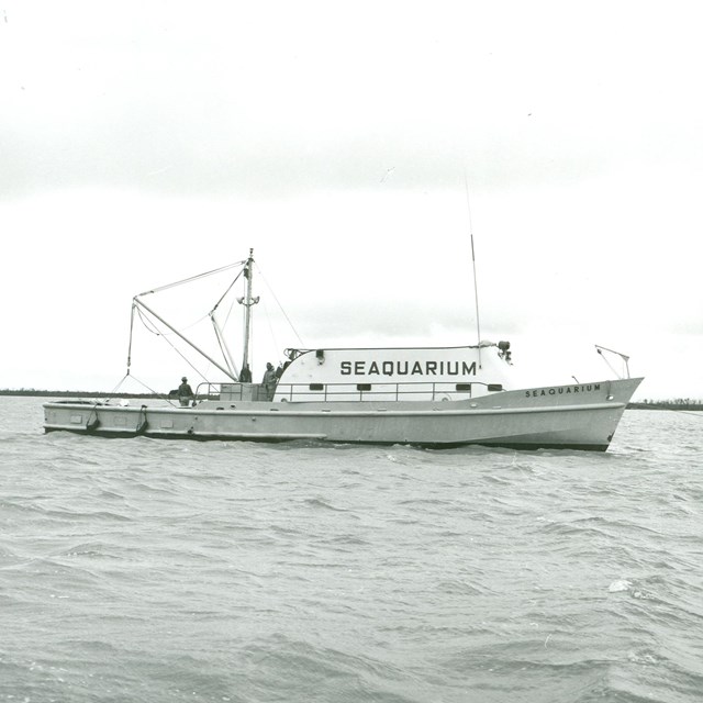Fishing boat in the ocean