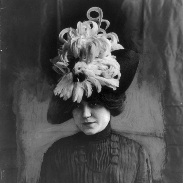 Plumed hat design varied in elaborateness