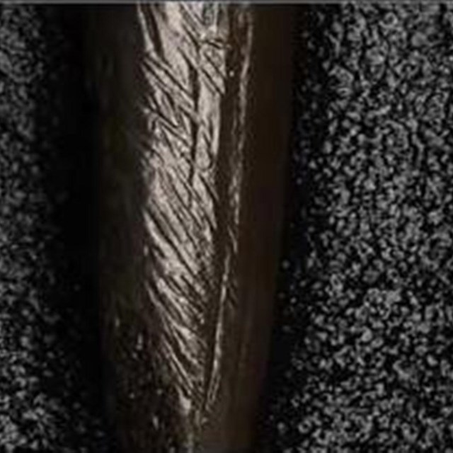 View of bone used by the Reflectance Transformation Imaging tool