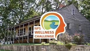Log house in the background with a NPS wellness challenge logo, and white wavy lines in the front