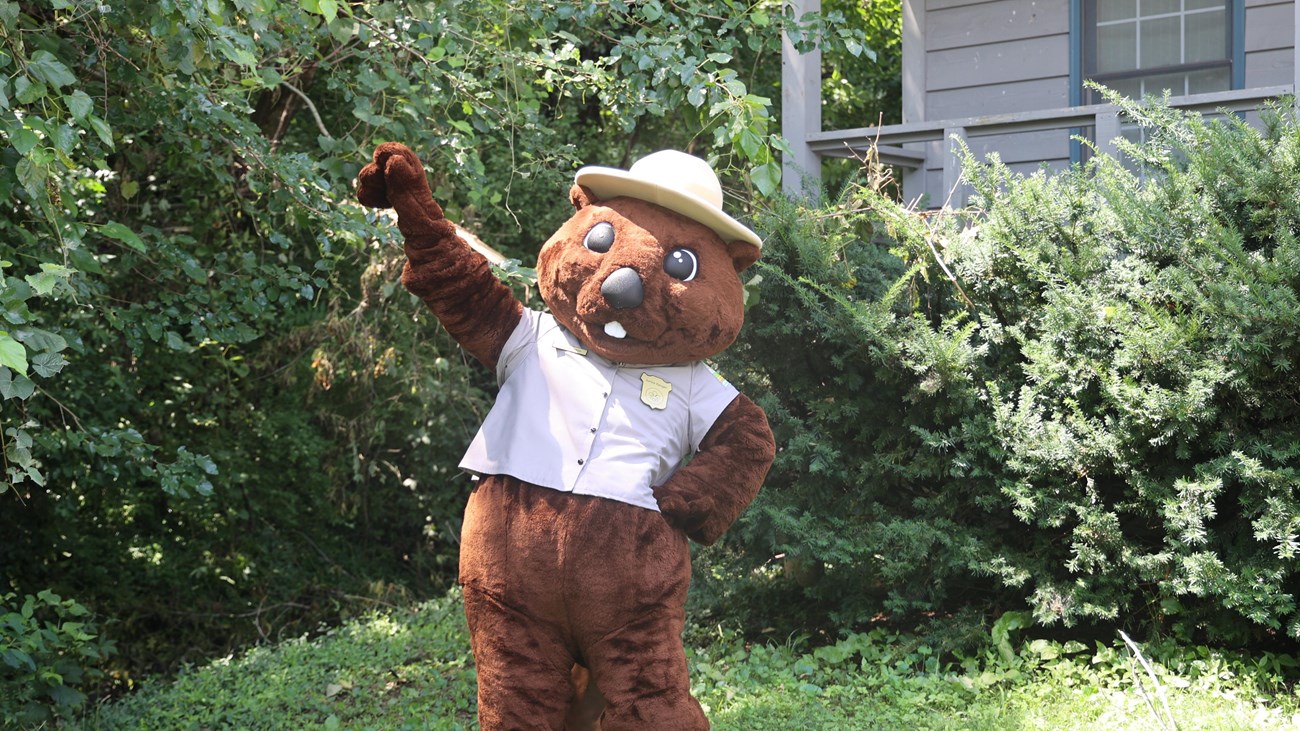 Junior Ranger Ambassador Herminette the Beaver standing outside in her ranger uniform.