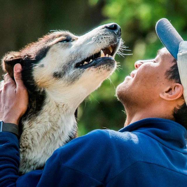 a smiling man in a ballcap pets a husky