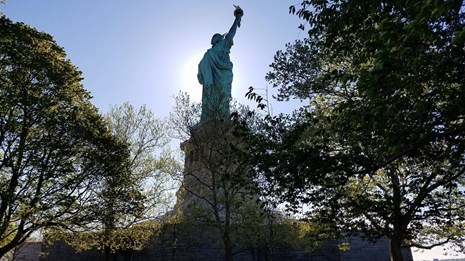 A view of the Statue of Liberty, back-lit, between trees on the island.