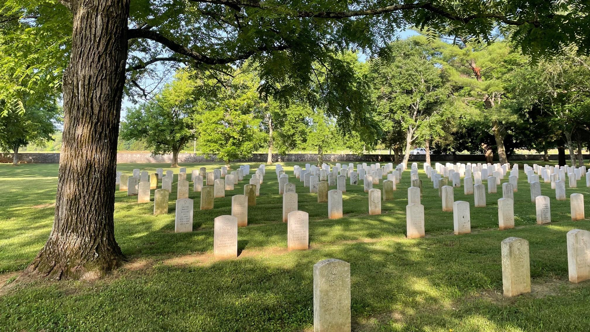 Landscape of cemetery with trees and flag in the background
