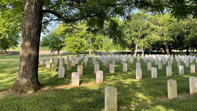 Landscape of cemetery with trees and flag in the background