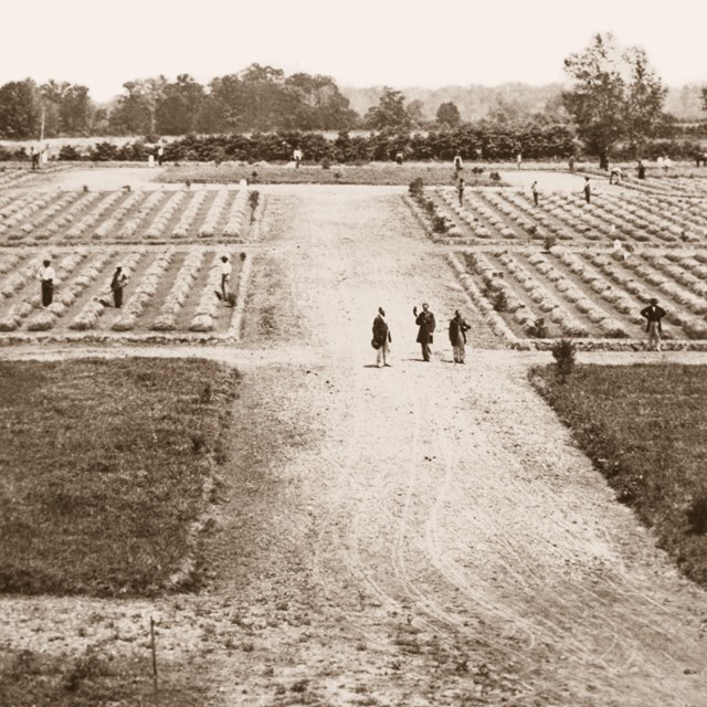 A black and white photo of a cemetery with rows of earthen mounds and workers beside them.