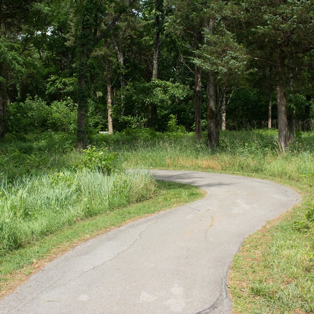 A paved trail runs through a grassy and wooded area.