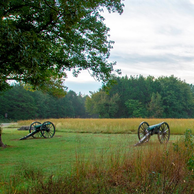 Two cannons are pointed across a modern asphalt road