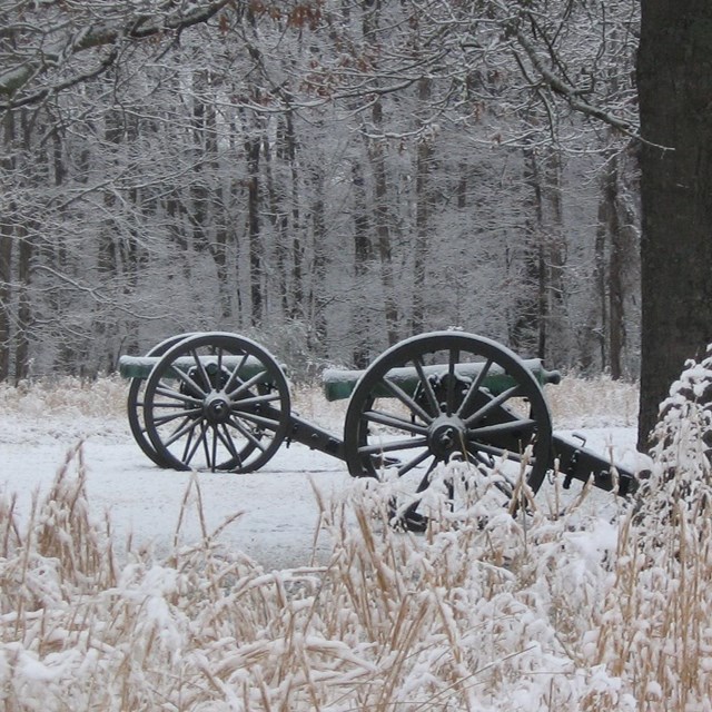 Snow covers two civil war cannons.