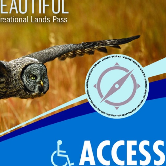 An Access Pass with an Owl flying over a field