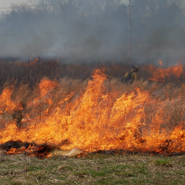 Photo of a fire in a field