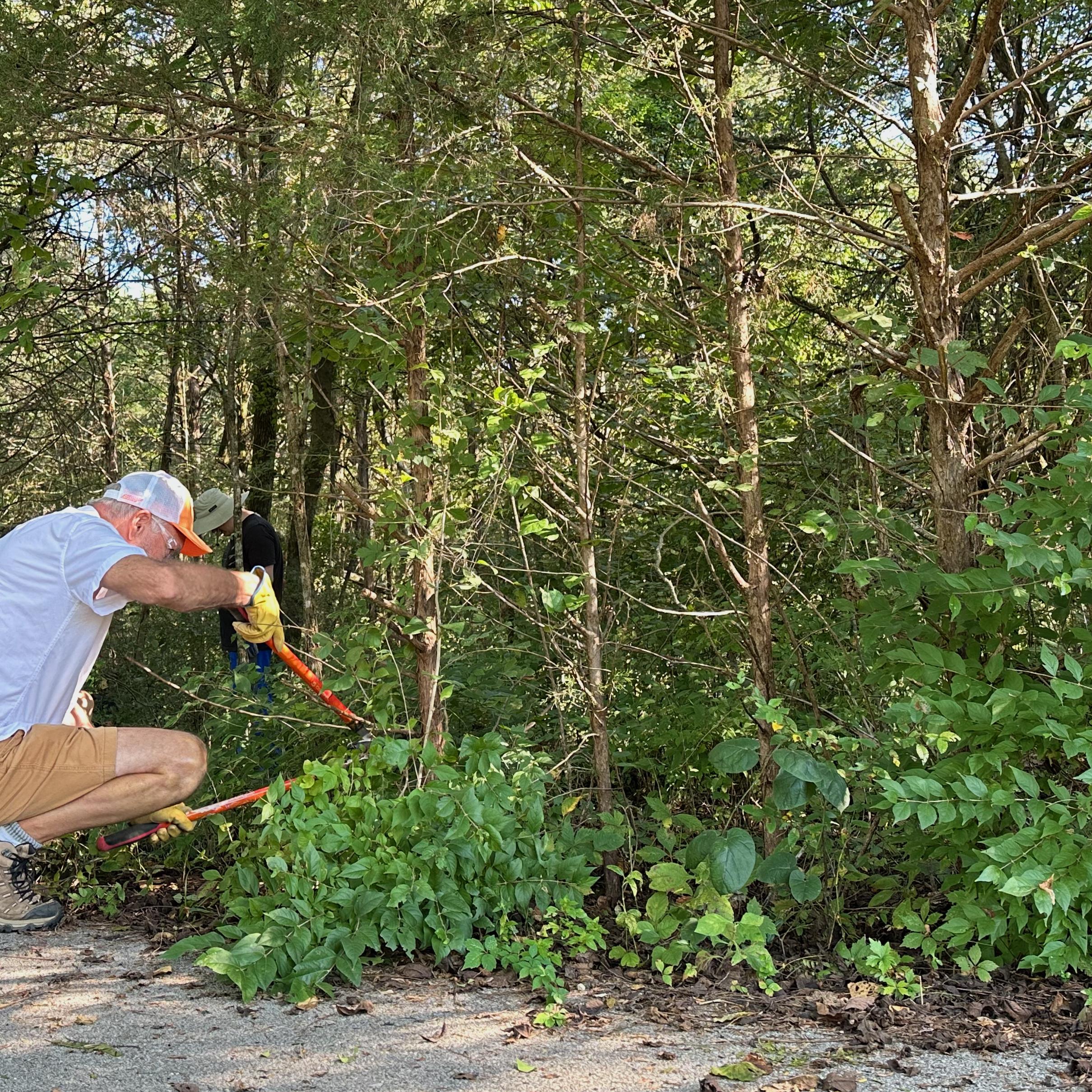 Photo of nonnative species removal