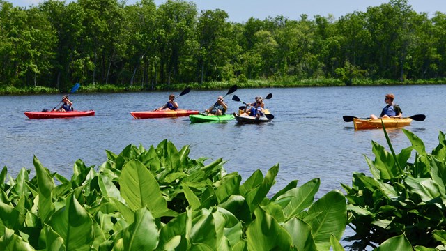 A group of people are kayaking on a river.