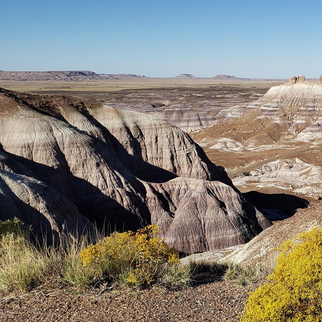 A landscape of several steep, multi-colored sedimentary hills with green and yellow bushes