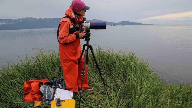 A researcher looks through a spotting scope.