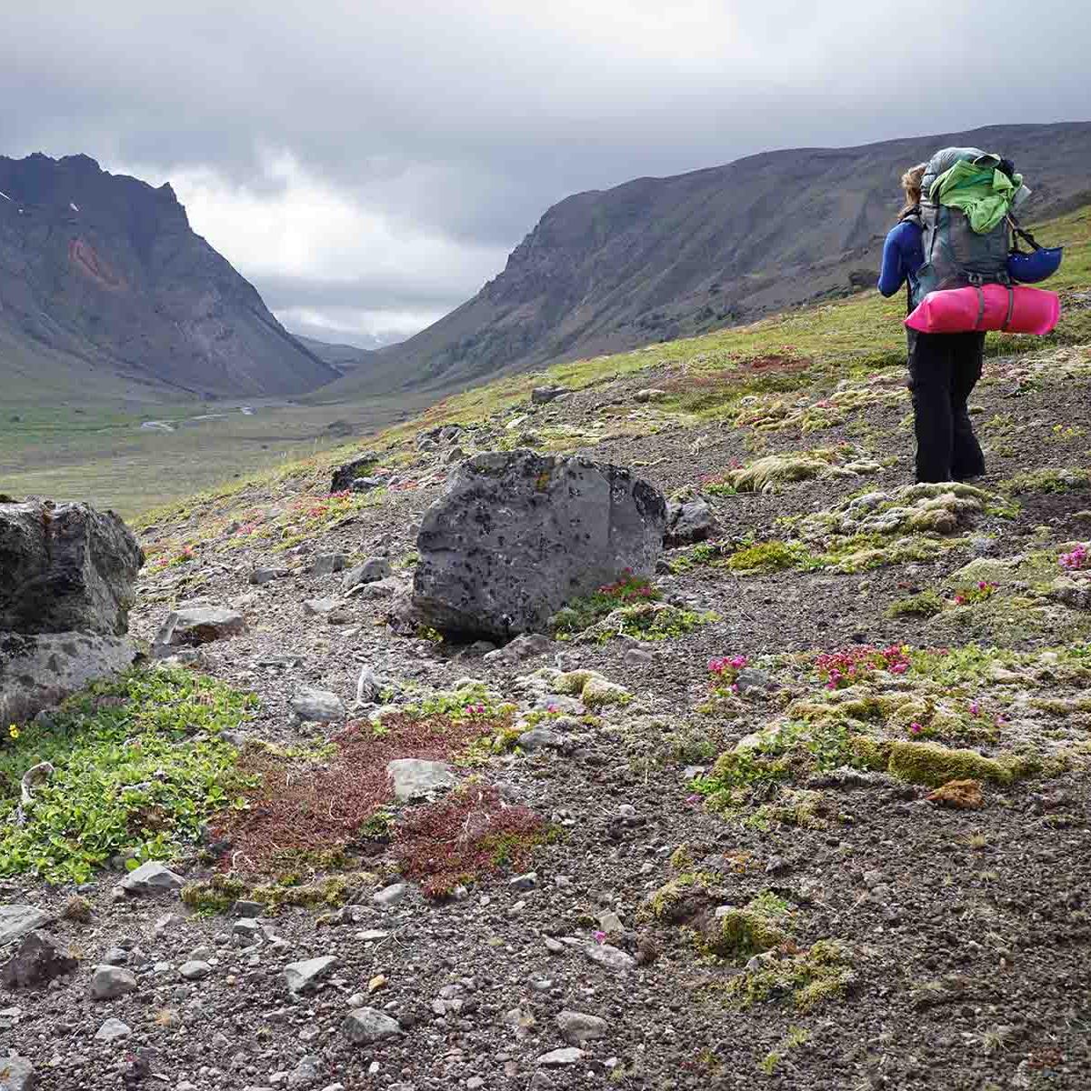 A hiker and the 