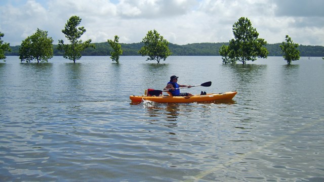 Kayaking across a flooded parking lot, Chickasaw NRA, July 2007.