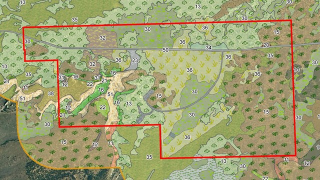 Vegetation and landcover map for El Morro National Historic Monument