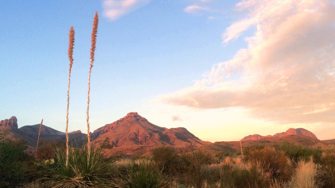 Sunset over the mountainous landscape of Big Bend National Park