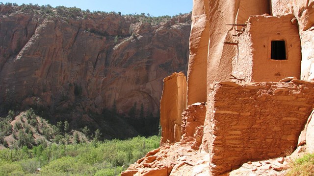 Ruins at Navajo National Monument