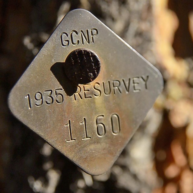 Survey marker for the resurvey of plots used for the first veg map of Grand Canyon NP