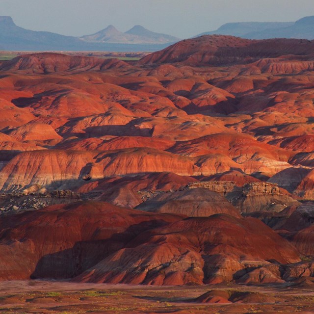 Painted Desert in Petrified Forest National Park
