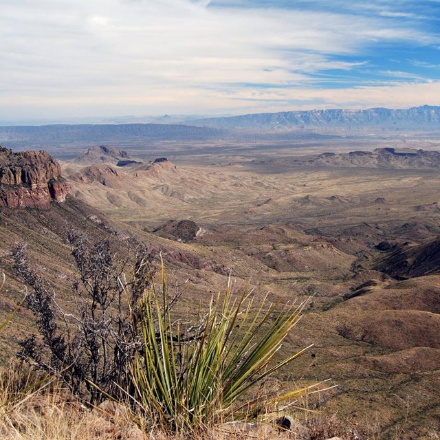 Big Bend National Park vista