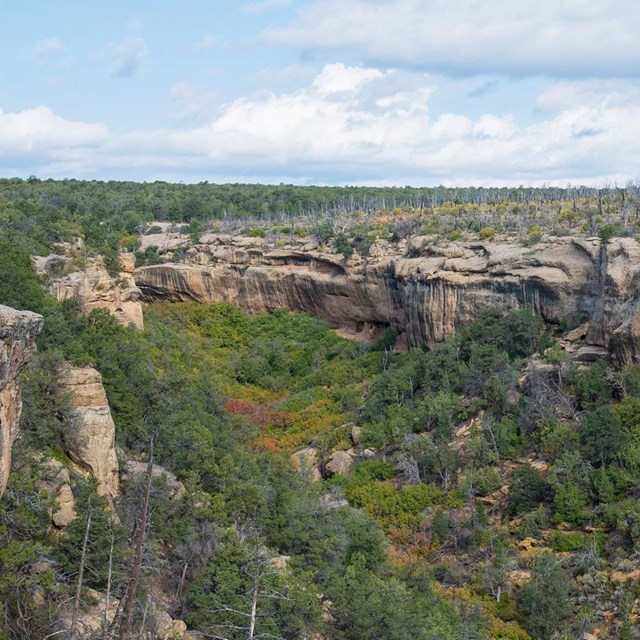 Mesa Verde National Park in the fall