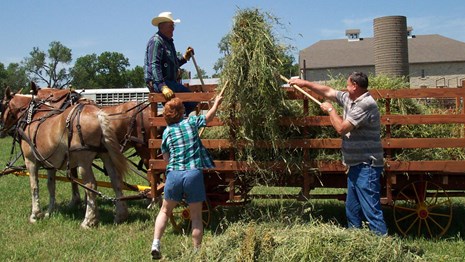 visitors having fun pitching hay into the hay wagon using pitchforks
