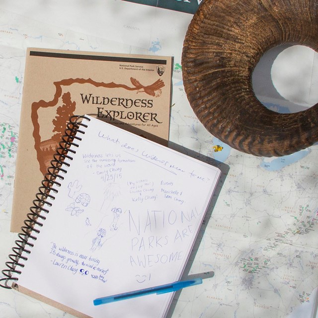 A map, notebook and artifact
