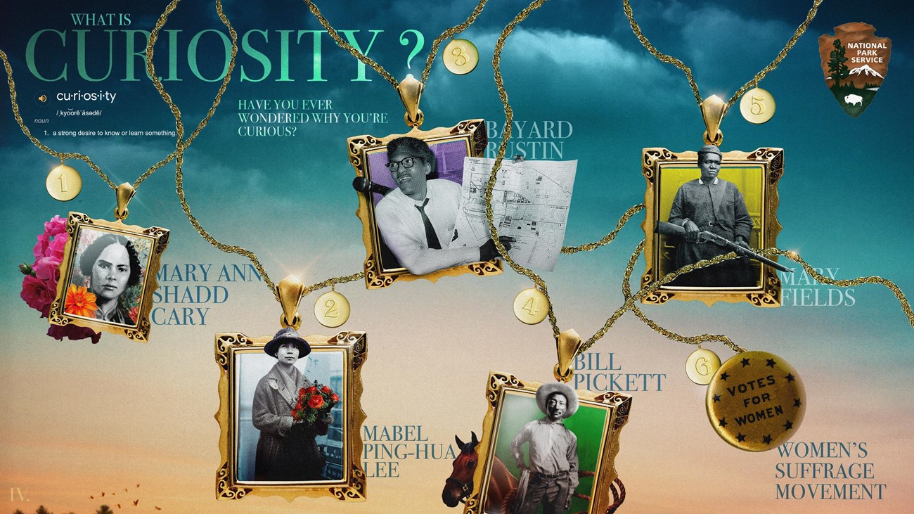 Infographic depicting the word "curiosity" and historical images of people. 