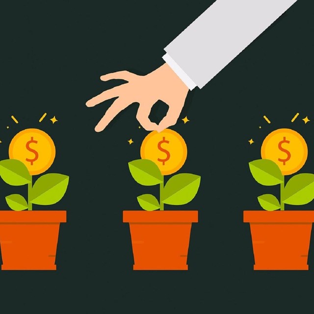 Cartoon of coin growing on a plant. 