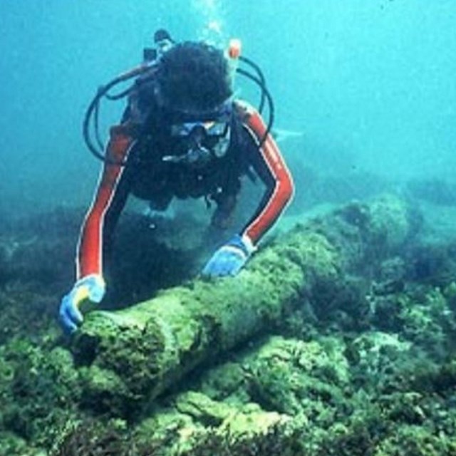 Diver under the water. 