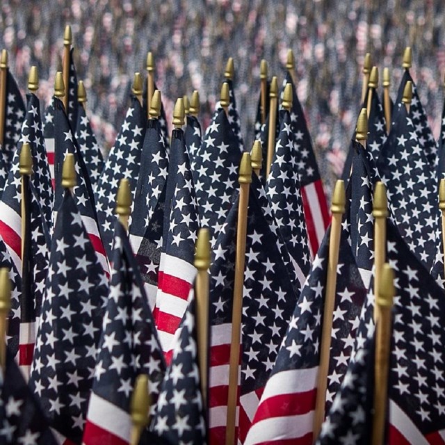 Photo of American flags. 