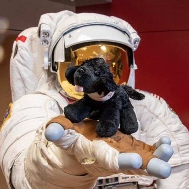 Astronaut holding a plush black dog