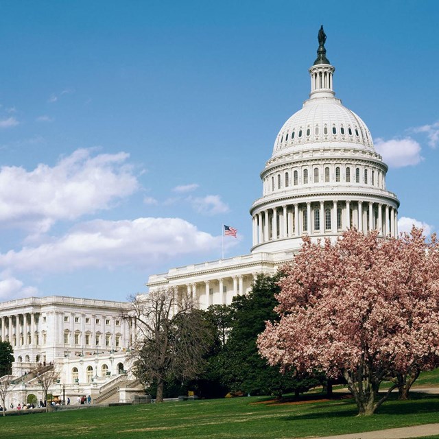 US Capitol by Highsmith. LOC photo