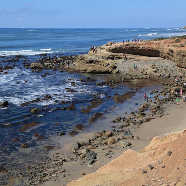 The Cabrillo tidepools. NPS photo