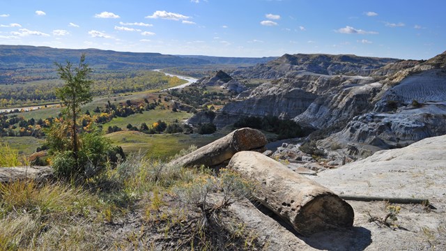 Log concretions with Badlands vista in background.