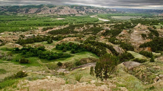 Landscape of the Badlands.