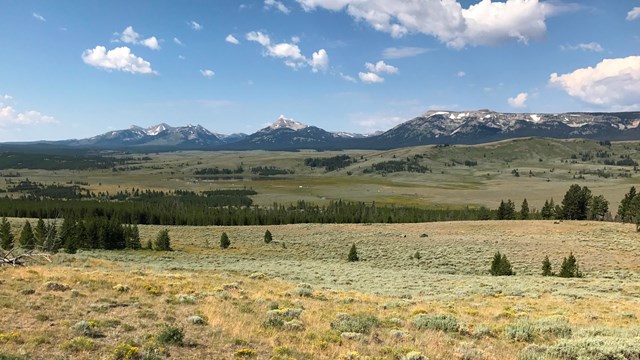 Wide valley covered in sagebrush with snow-capped mountains in the distance.