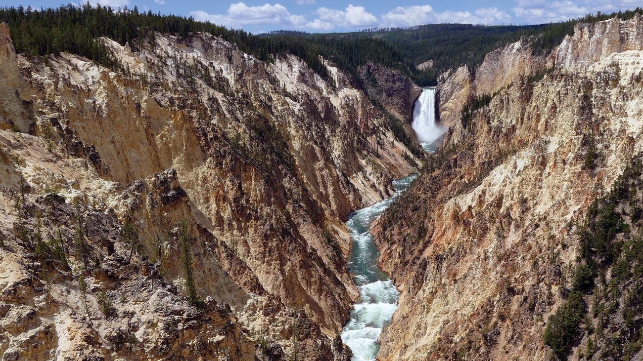 Lower Falls plunges into the yellowish-tan canyon.