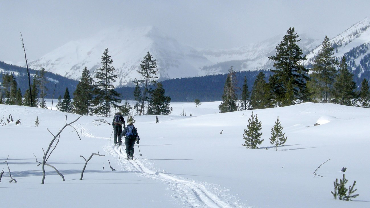 Two skiers make their way along the Bighorn Loop Trail with mountain views in the distance.