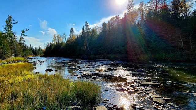 A low water river with rocks showing above the water, passing through a forest.